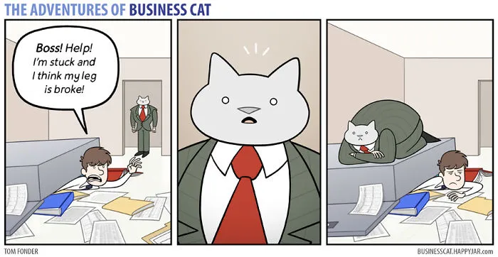 If Your Boss Was A Cat
