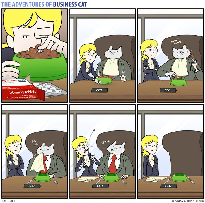 If Your Boss Was A Cat