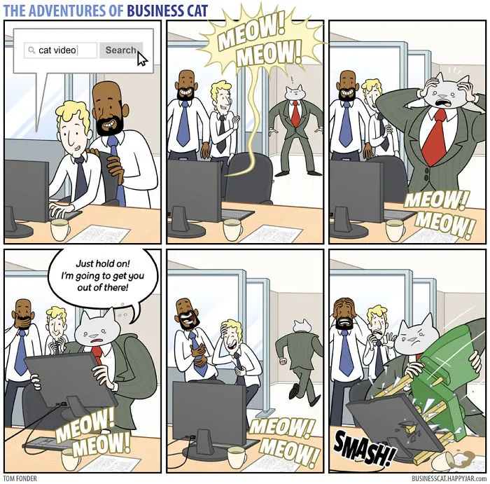 If Your Boss Was A Cat