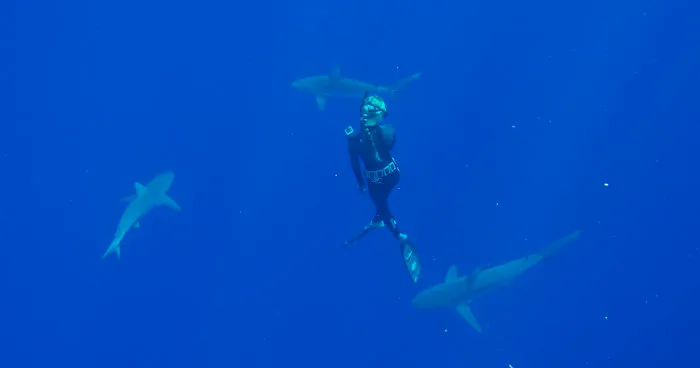 I Filmed For My Documentary "She Is The Ocean" Amazing Story Of "Shark Whisperer" Ocean Ramsey - Woman Who Swim With The Sharks Around The World And Helping To Save Them.