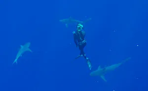 I Filmed For My Documentary "She Is The Ocean" Amazing Story Of "Shark Whisperer" Ocean Ramsey - Woman Who Swim With The Sharks Around The World And Helping To Save Them.