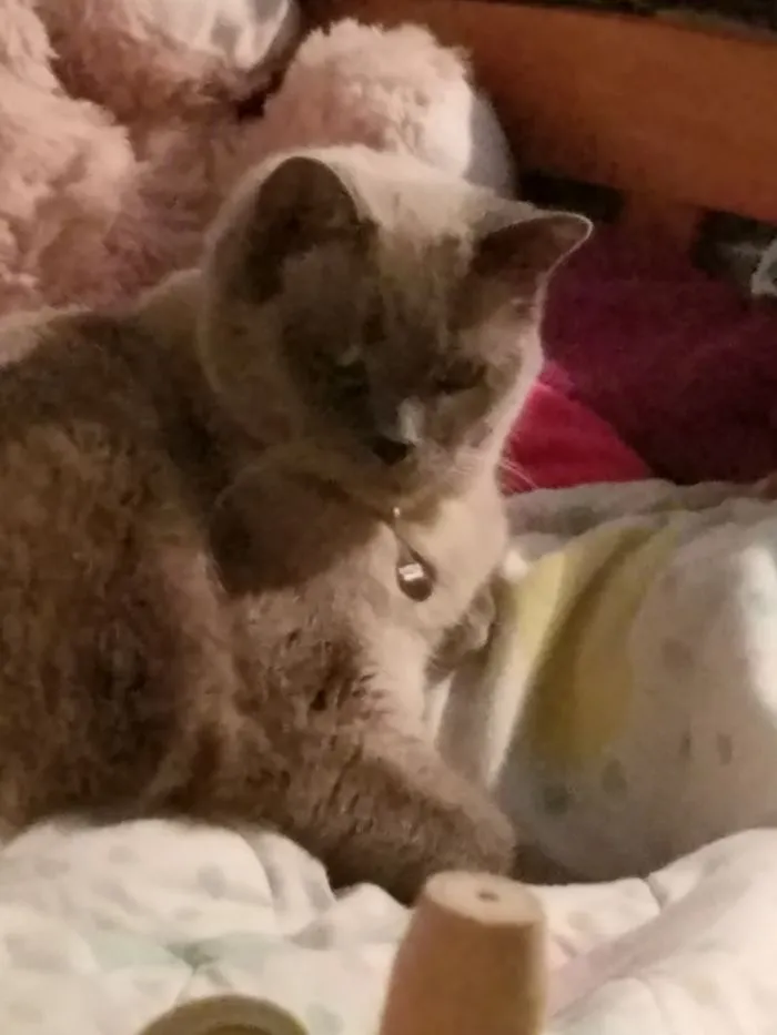 His First Night Home: Already Plotting Against Us.