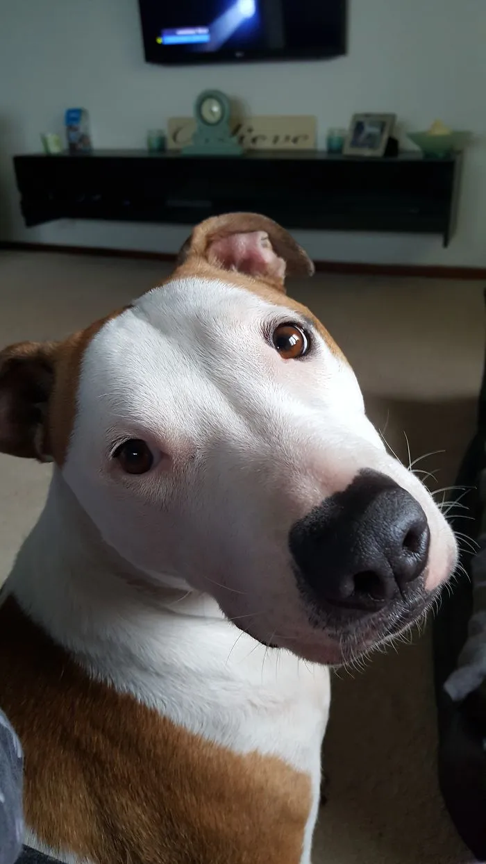 That Face