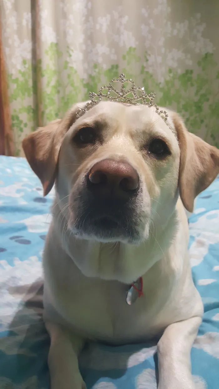 But She Don't Wanna Be A Pretty Princess.....