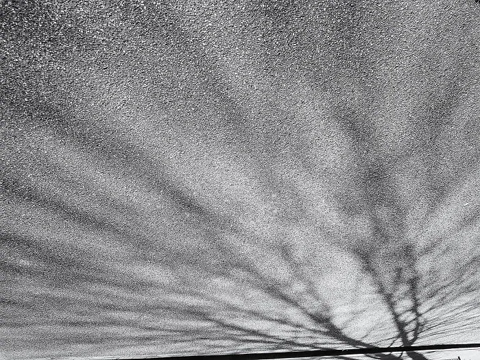 Shadows Of My Soul