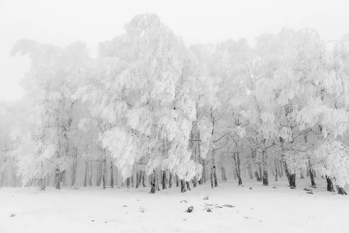 Frederik Buyckx, Belgium (Professional, Landscape)