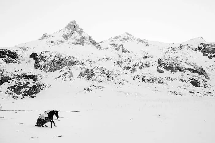 Frederik Buyckx, Belgium (Professional, Landscape)