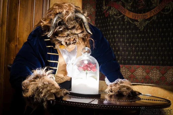 Beauty And The Beast Cosplay
