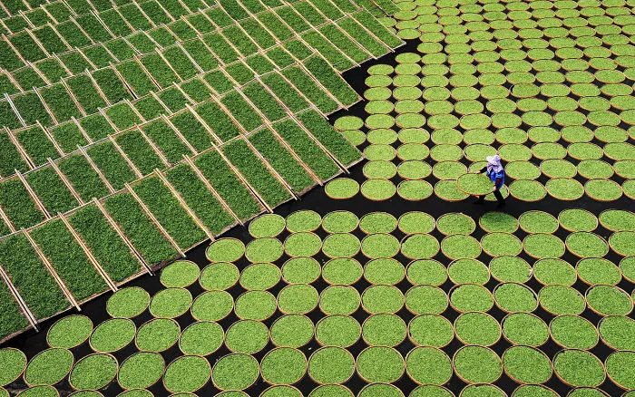 Fanjing Lu, China (Open Competition, Travel)