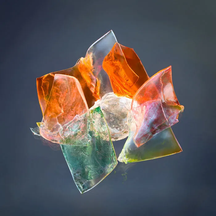 Elzbieta Kurowska, Canada (Open Competition, Nature)