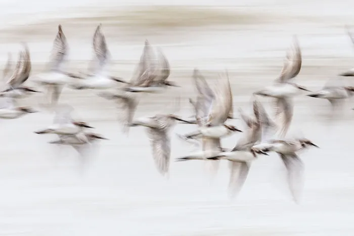 Mariusz Stanosz, Poland (Open Competition, Motion)