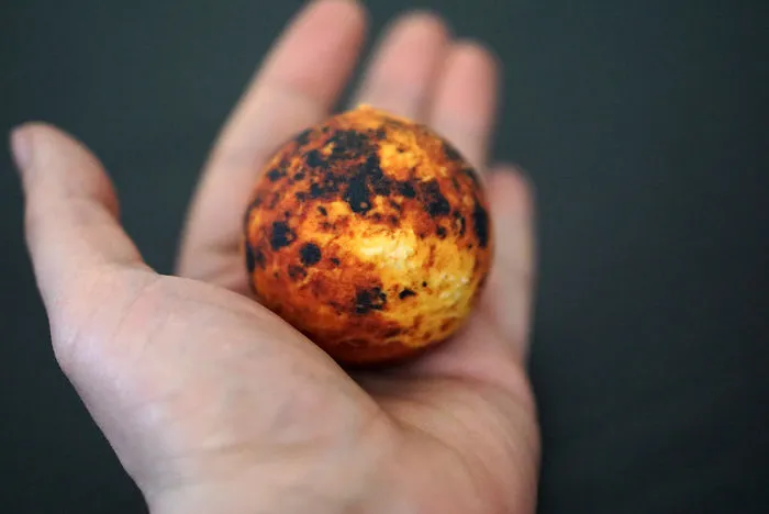 Venus Globe