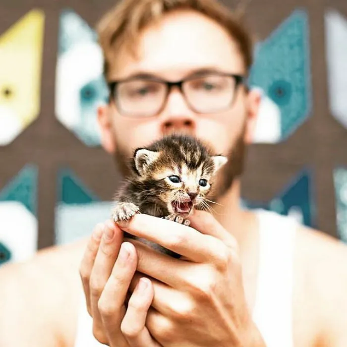 Hot Dudes With Kittens Is Still The Most Purrfect Instagram Account Ever (159 New Pics)