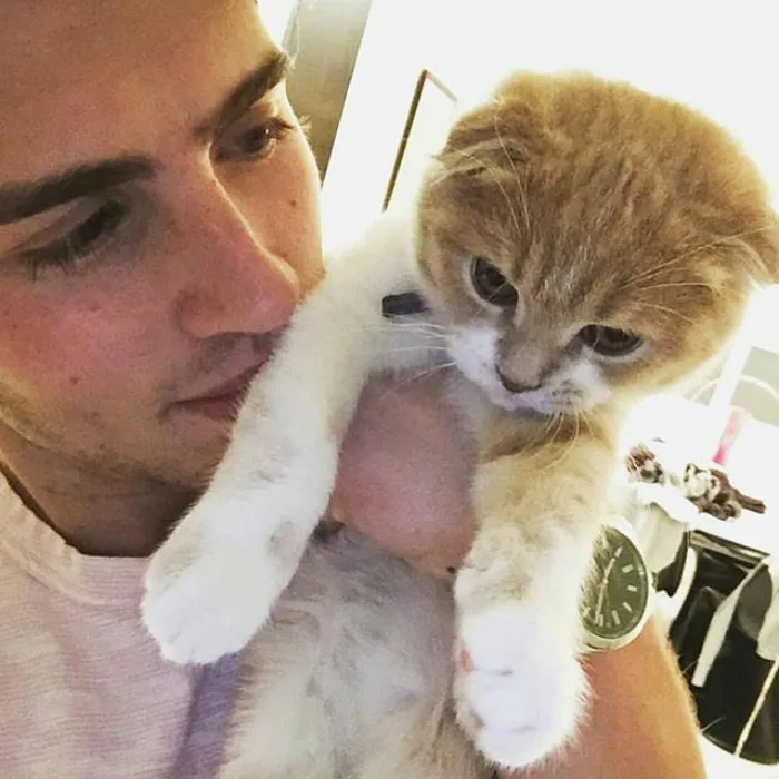 Hot Dudes With Kittens Is Still The Most Purrfect Instagram Account Ever (159 New Pics)