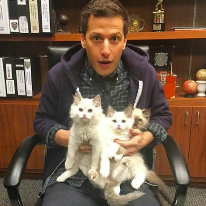 Hot Dudes With Kittens Is Still The Most Purrfect Instagram Account Ever (159 New Pics)