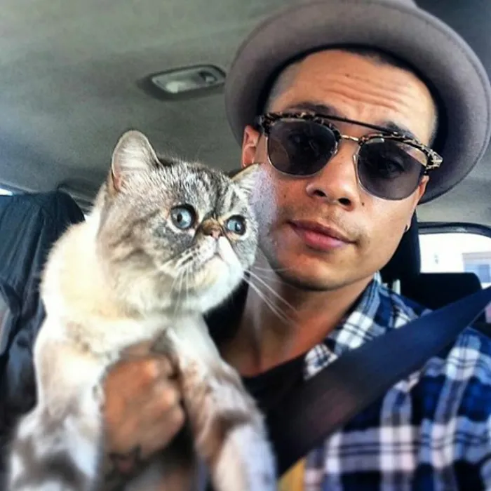 Hot Dudes With Kittens Is Still The Most Purrfect Instagram Account Ever (159 New Pics)