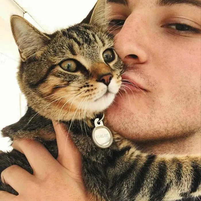 Hot Dudes With Kittens Is Still The Most Purrfect Instagram Account Ever (159 New Pics)