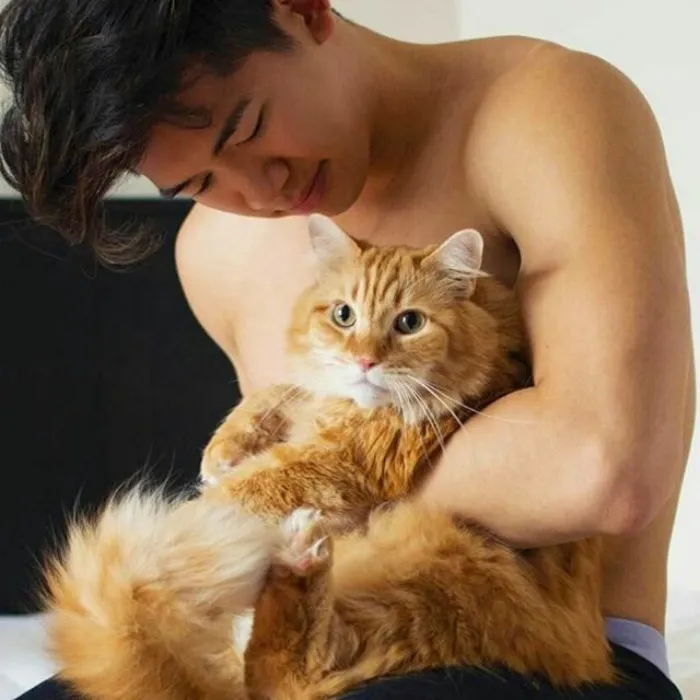 Hot Dudes With Kittens Is Still The Most Purrfect Instagram Account Ever (159 New Pics)