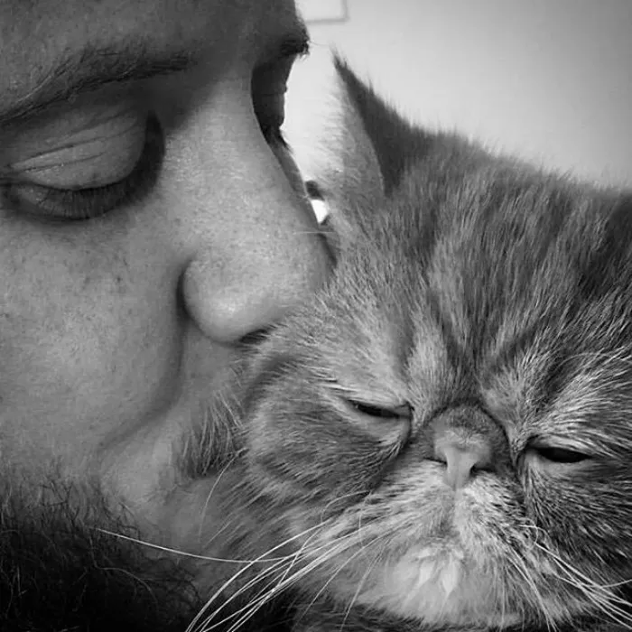 Hot Dudes With Kittens Is Still The Most Purrfect Instagram Account Ever (159 New Pics)
