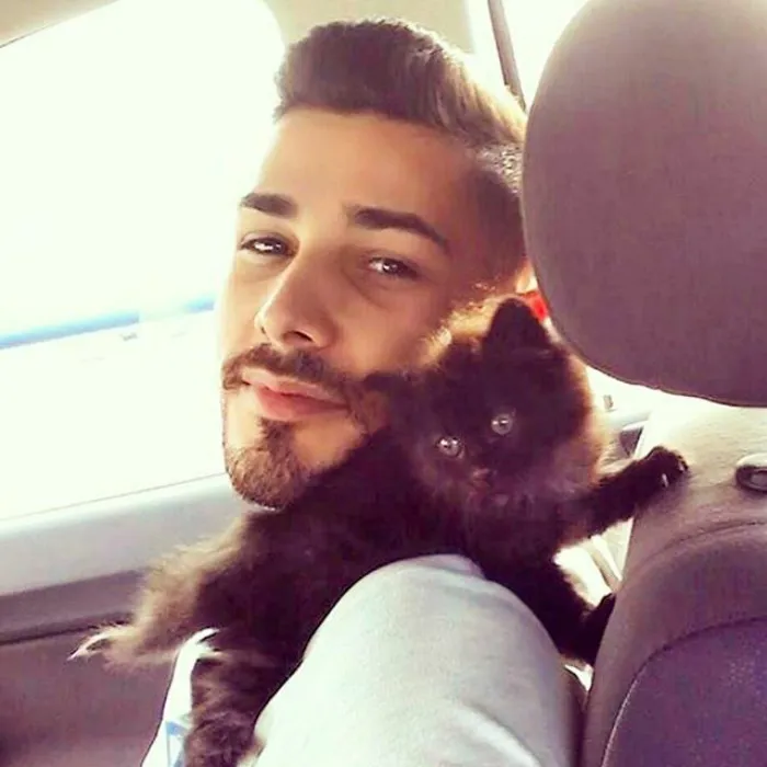 Hot Dudes With Kittens Is Still The Most Purrfect Instagram Account Ever (159 New Pics)