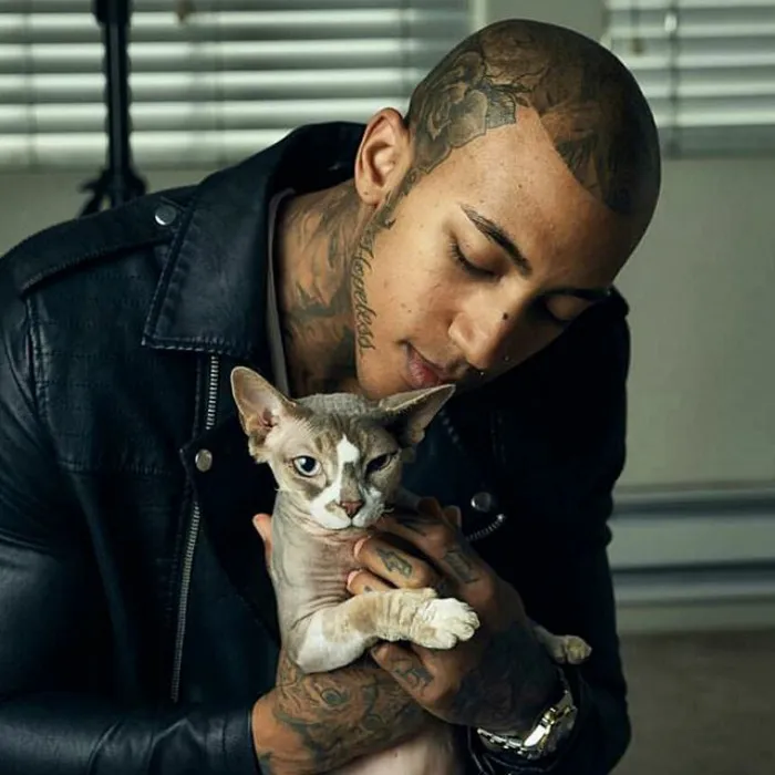 Hot Dudes With Kittens Is Still The Most Purrfect Instagram Account Ever (159 New Pics)