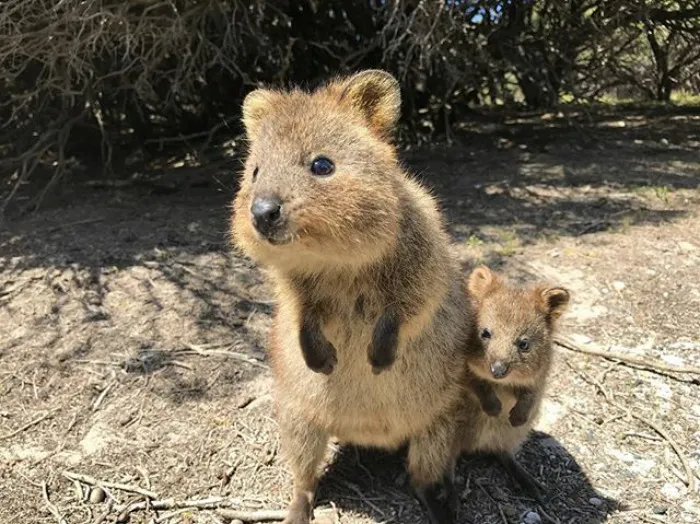 Madre y peque