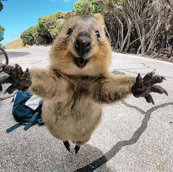 Dame un abrazo