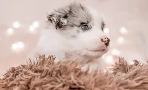 I Took Some Photos Or Adorable Babies With Little Paws