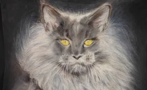 My Attempts At Photo-Realistic Images Using Pencil