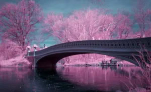 I Captured How New York Would Look Like If You Saw It In Infrared