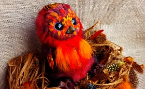 We Have Created My Own Version Of Phoenix