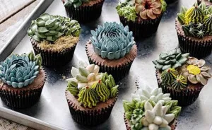 Succulent Cakes By Ivenoven Will Make Every Succulent Lover's Mouth Water