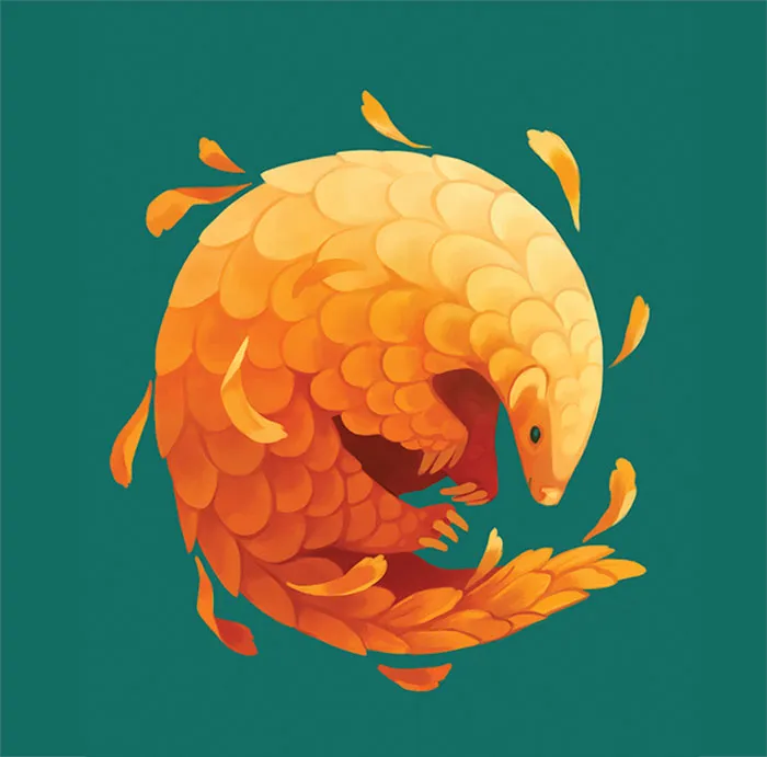 Calendula Tea Pirit