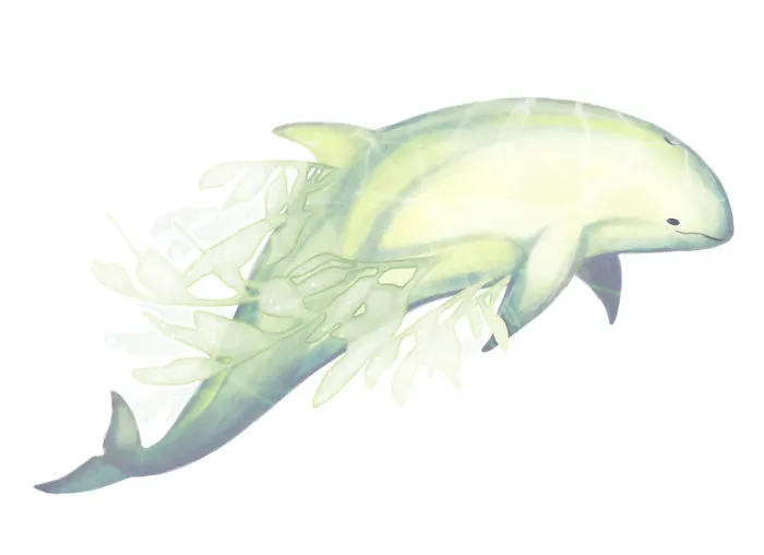 "Understeeped" Oolong Tea Spirit