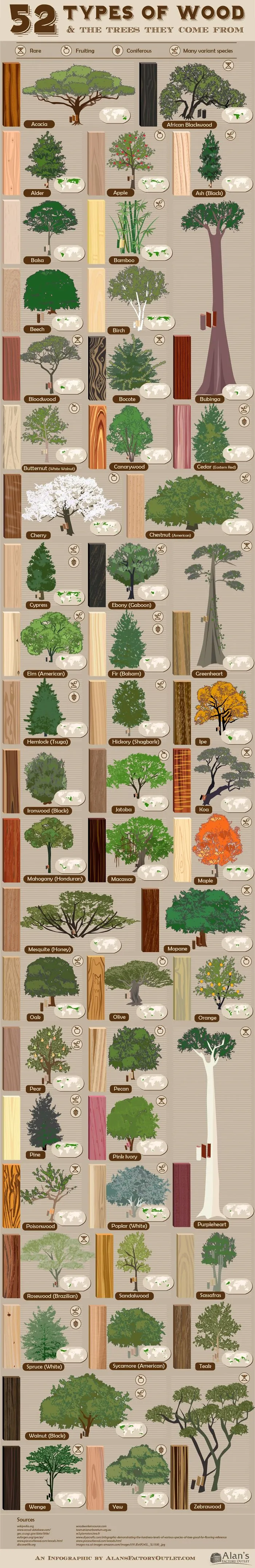 52 Types Of Wood & The Trees They Come From