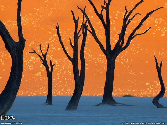 Africa’s Super Park