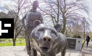 This 485-Pound Soldier Became A Private, A Mascot, And A Furry Friend In Wwii