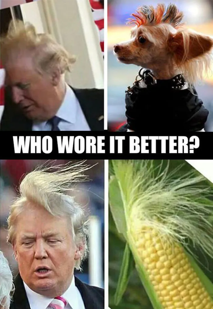 So Who Did?