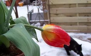 Taken At Just The Right Moment