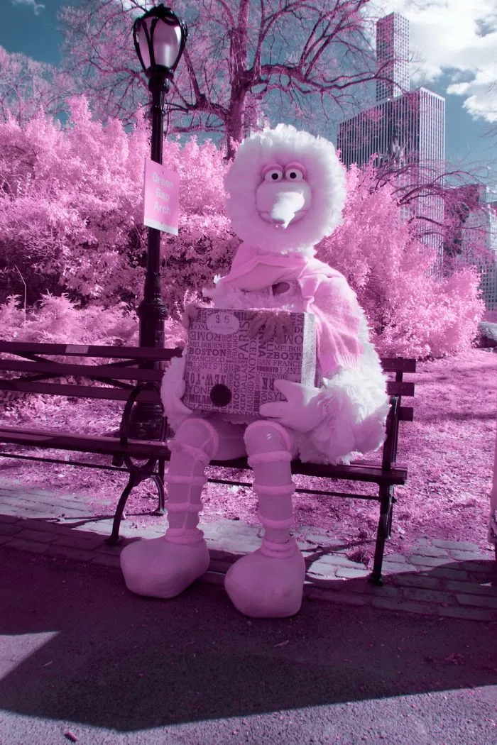I Captured How New York Would Look Like If You Saw It In Infrared