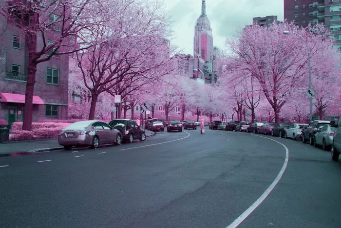 I Captured How New York Would Look Like If You Saw It In Infrared