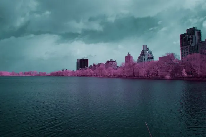 I Captured How New York Would Look Like If You Saw It In Infrared