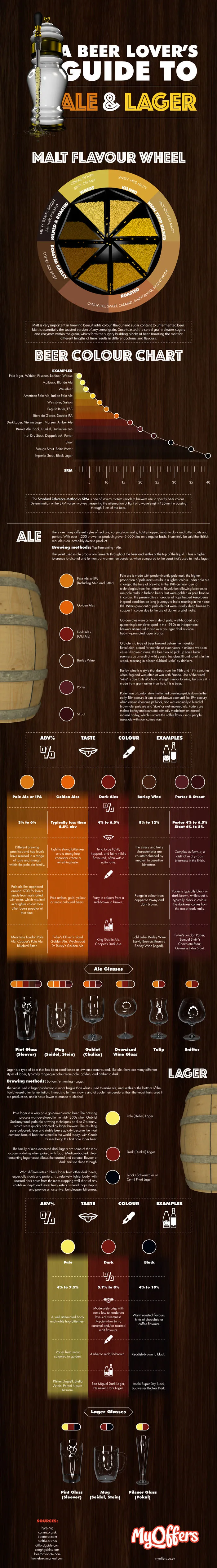 A Beer Lover's Guide To Ale & Lager