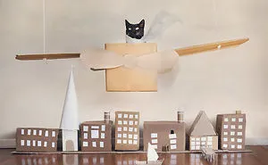 I Made A Career Out Of Annoying Cats