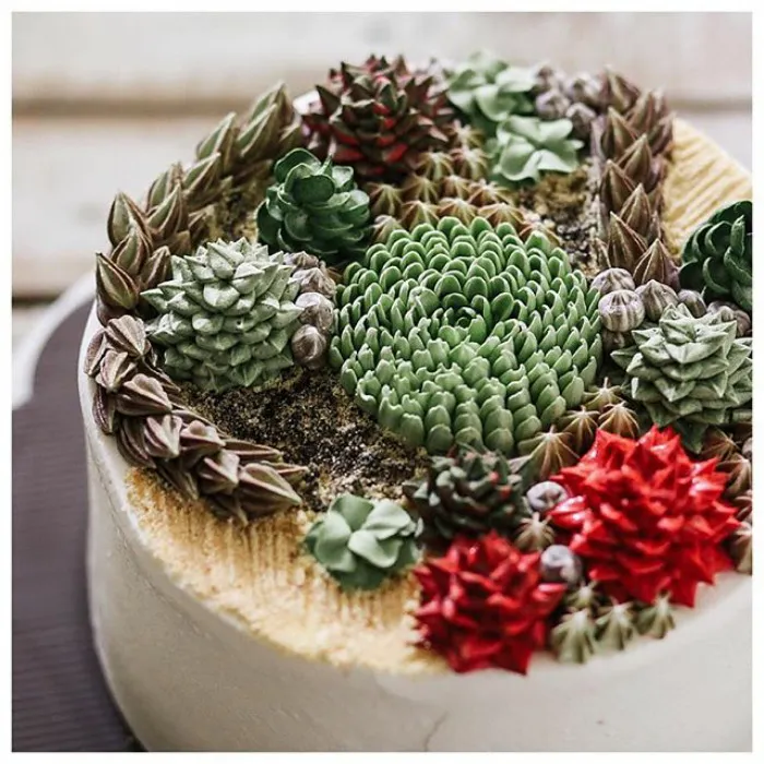 Succulent Cakes By Ivenoven Will Make Every Succulent Lover's Mouth Water