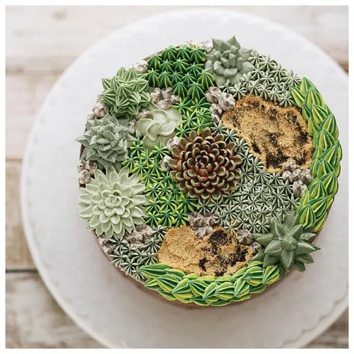 Succulent Cakes By Ivenoven Will Make Every Succulent Lover's Mouth Water