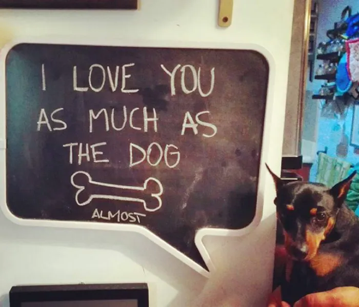 Love You As Much As The Dog