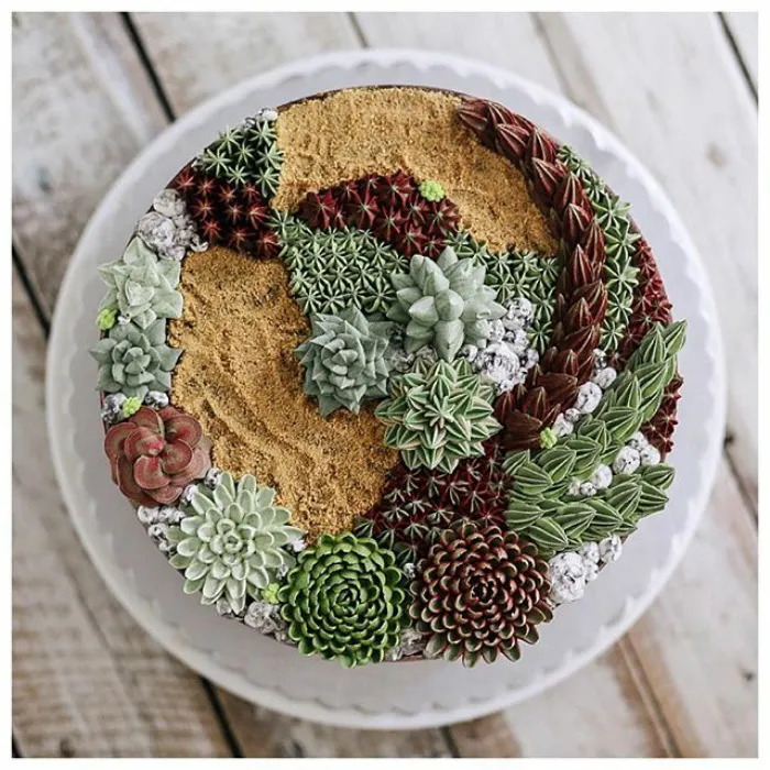 Succulent Cakes By Ivenoven Will Make Every Succulent Lover's Mouth Water