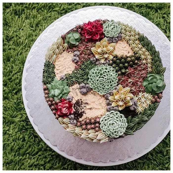 Succulent Cakes By Ivenoven Will Make Every Succulent Lover's Mouth Water