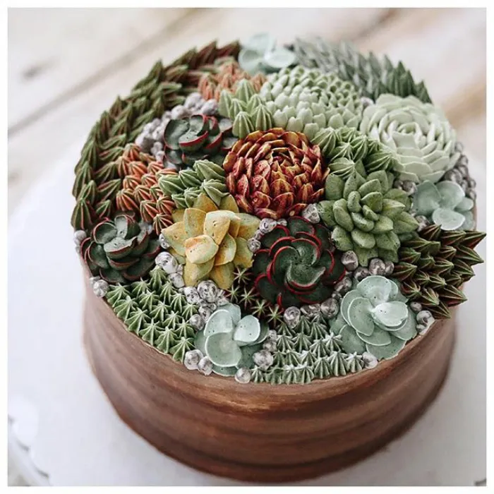Succulent Cakes By Ivenoven Will Make Every Succulent Lover's Mouth Water